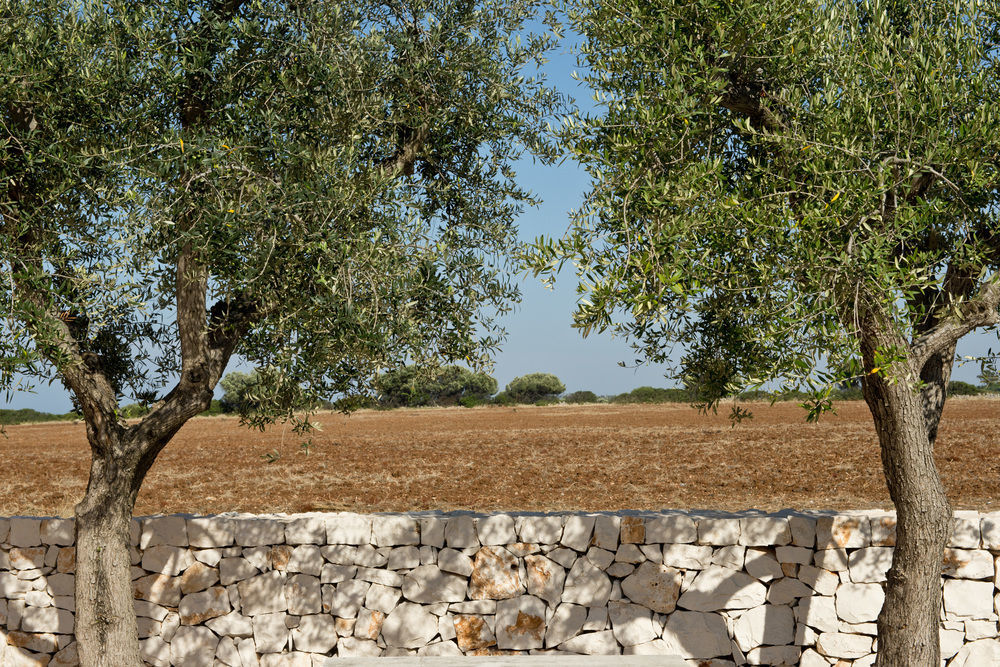 Grand Hotel Masseria Santa Lucia Ostuni Exteriér fotografie